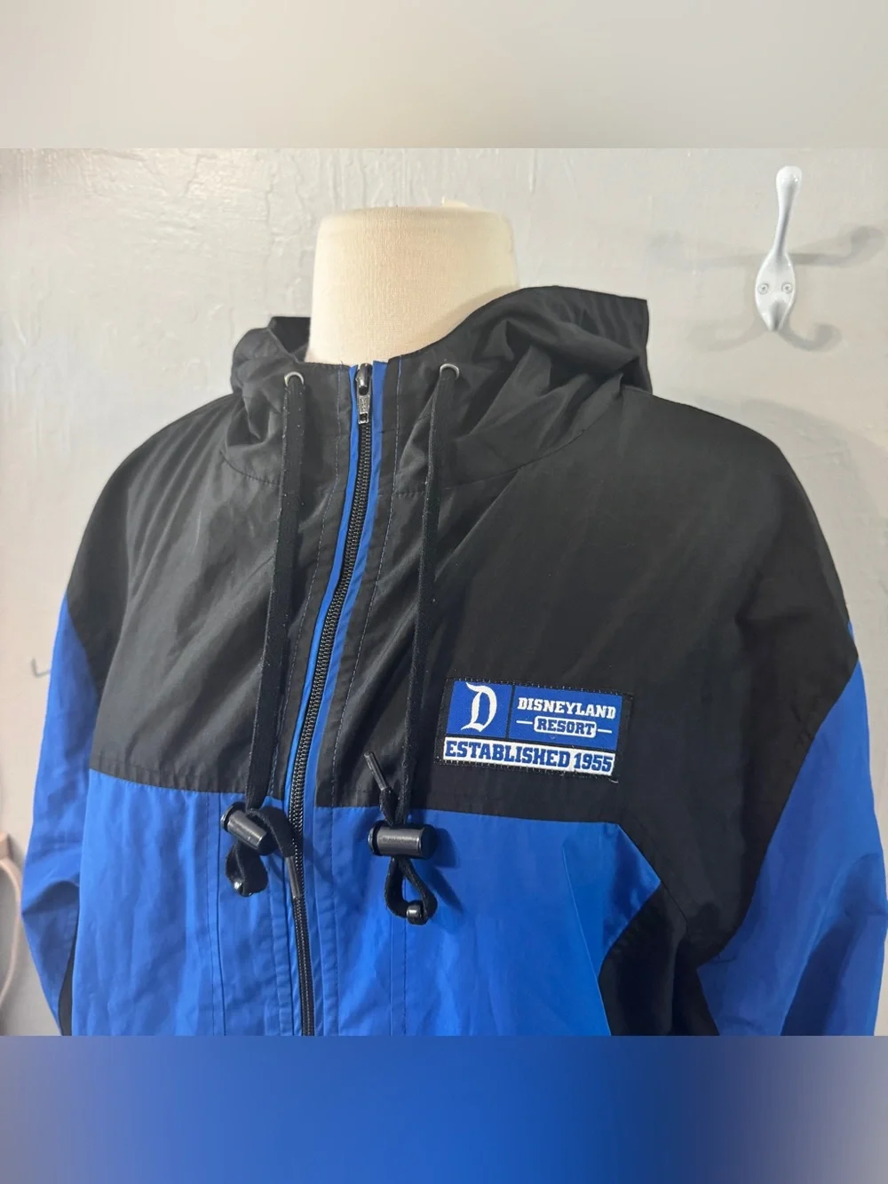 Disneyland Windbreaker